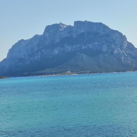 Aria Di Vacanza - Molara Loiri Porto San Paolo Zewnętrze zdjęcie